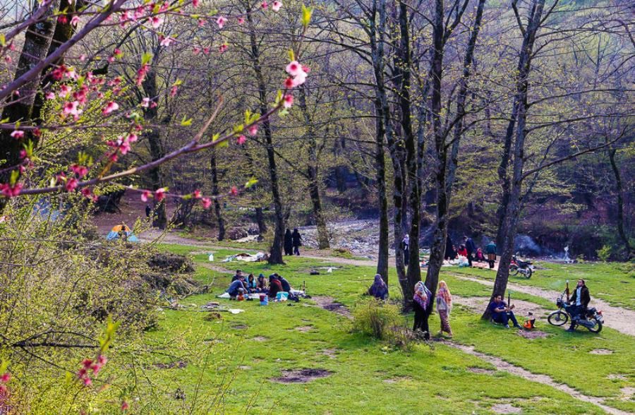 ناهارخوران گرگان بهشتی که هر ایرانی باید ببیند