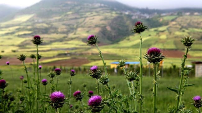 بهترین مکان های شمال ایران برای تابستان - بخش اول