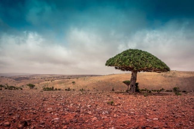 مکان های دیدنی کشورهای مسلمان