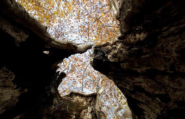 راهنمای سفر به قره باغ