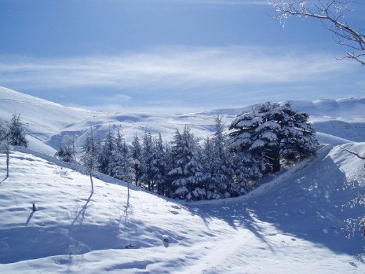 ۱۰ جاذبه گردشگری لبنان