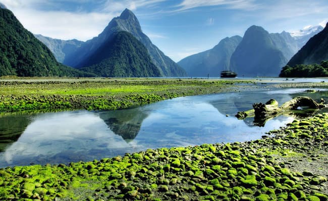 سفر به نیوزیلند، سرزمین افسانه ای هابیت ها