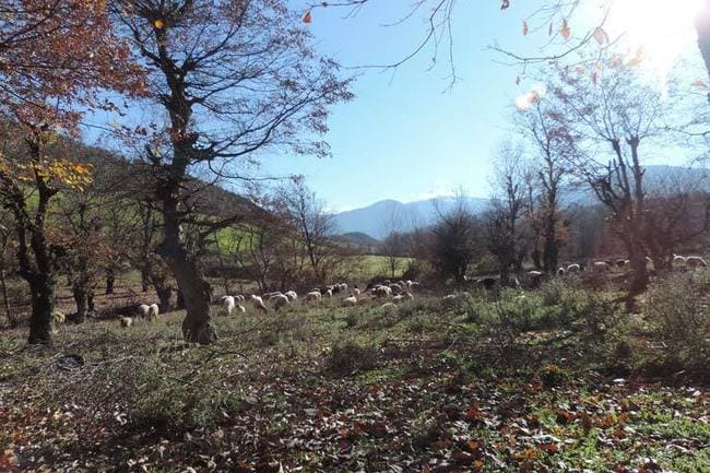 سفر به گلستان و شهر زیبای گرگان