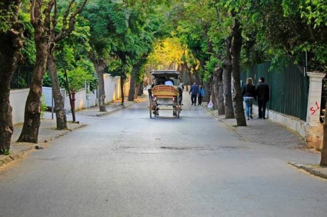 جزایر پرنس استانبول