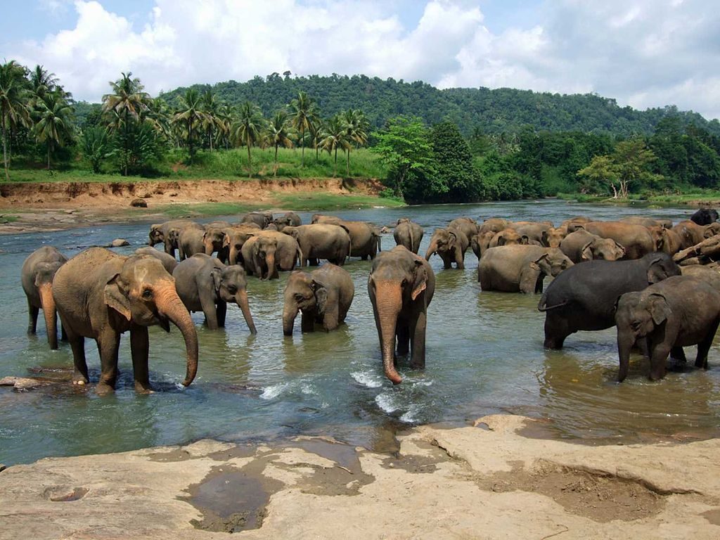 جاذبه های گردشگری سریلانکا