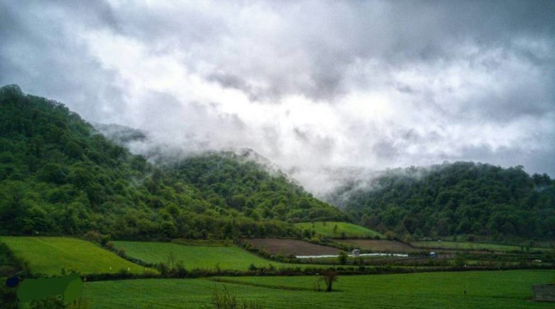 جاده جنگلی توسکستان