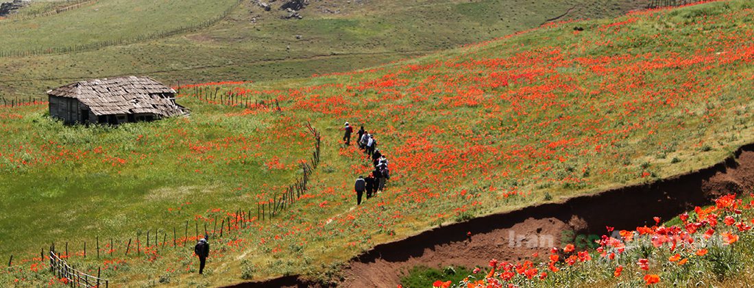 سوباتان کجاست؟