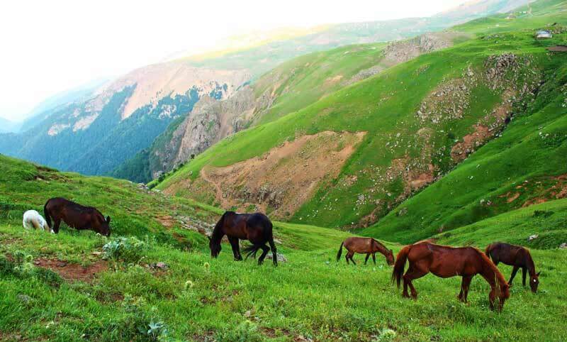 سوباتان کجاست؟