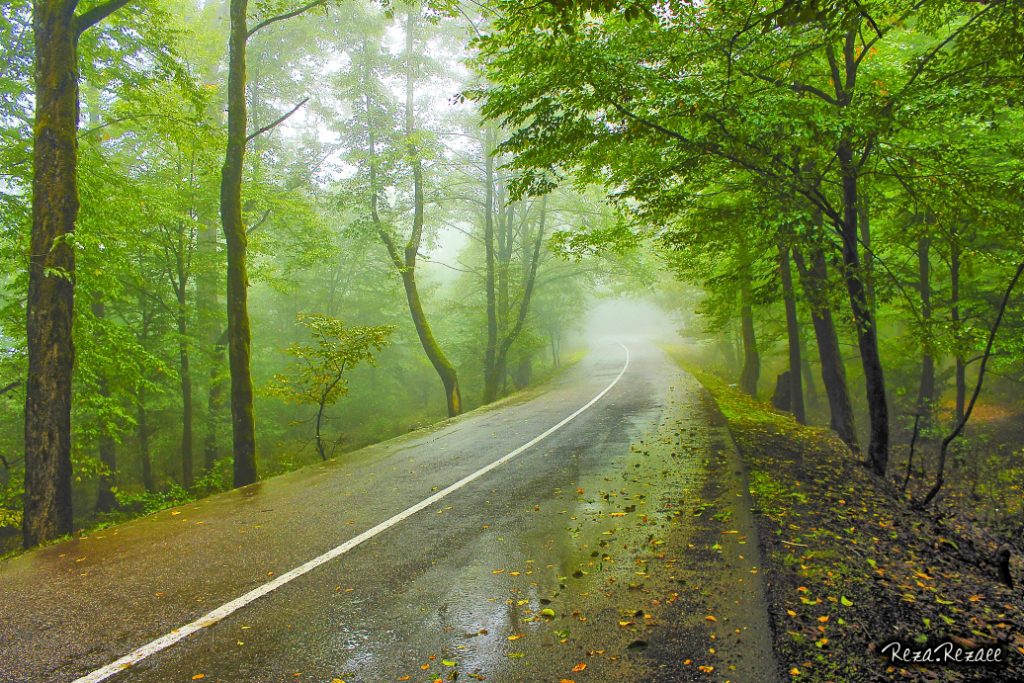 پارک جنگلی نور ، مازندران