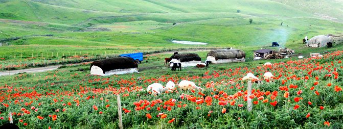 سوباتان کجاست؟