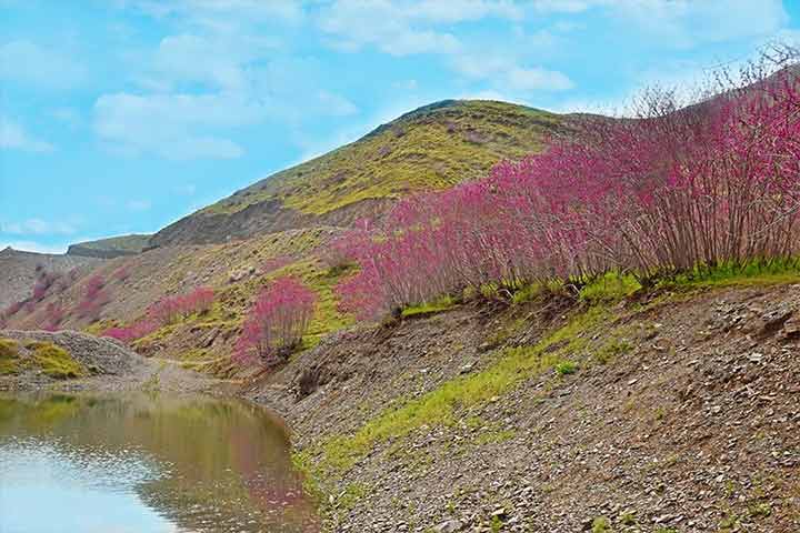 ÙØªÛØ¬Ù ØªØµÙÛØ±Û Ø¨Ø±Ø§Û Ø¯Ø´Øª Ø§Ø±ØºÙØ§Ù