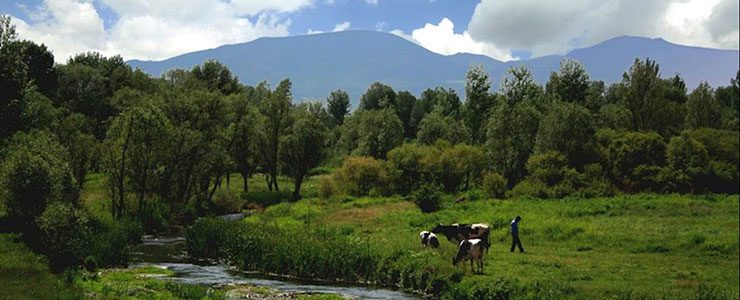 آب گرم معدنی نیر 