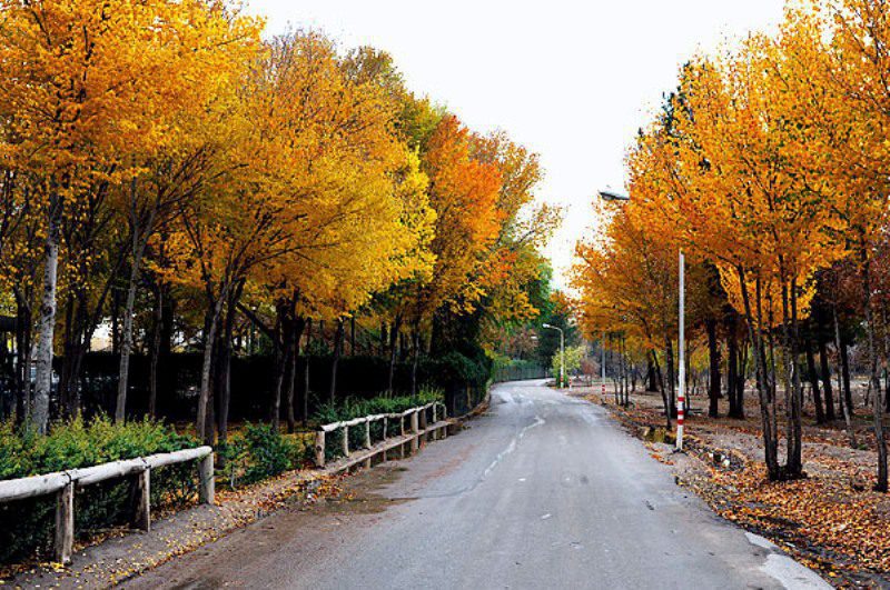 پارک جنگلی ناژوان