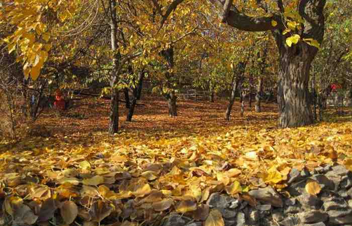 روستای جاغرق مشهد