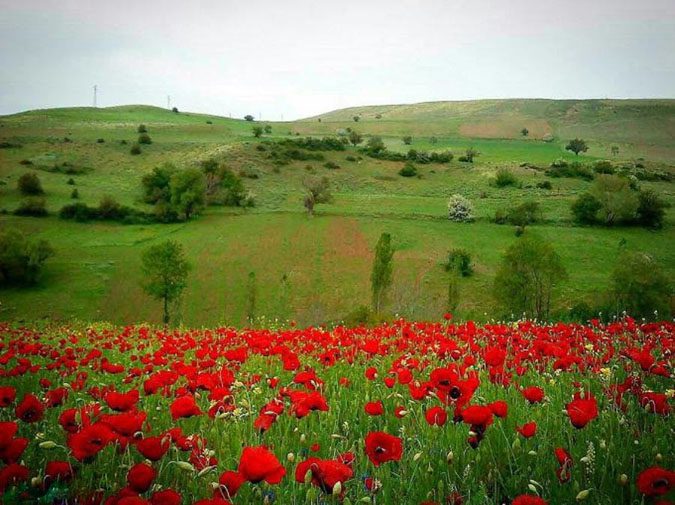 ییلاق دیلمان