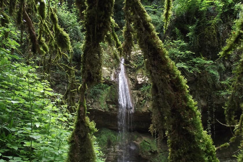 جنگل انجیلی و آبشار ولیلا سوادکوه