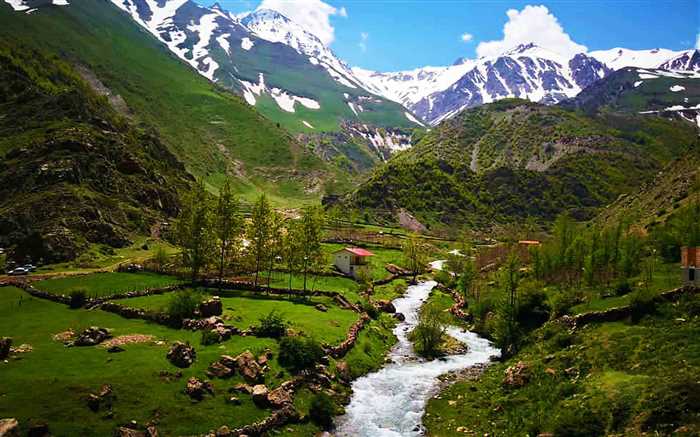 روستای سیاه بیشه