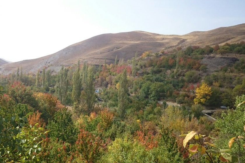 روستای دیزباد