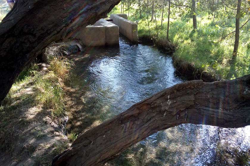 چشمه گیلاس چناران