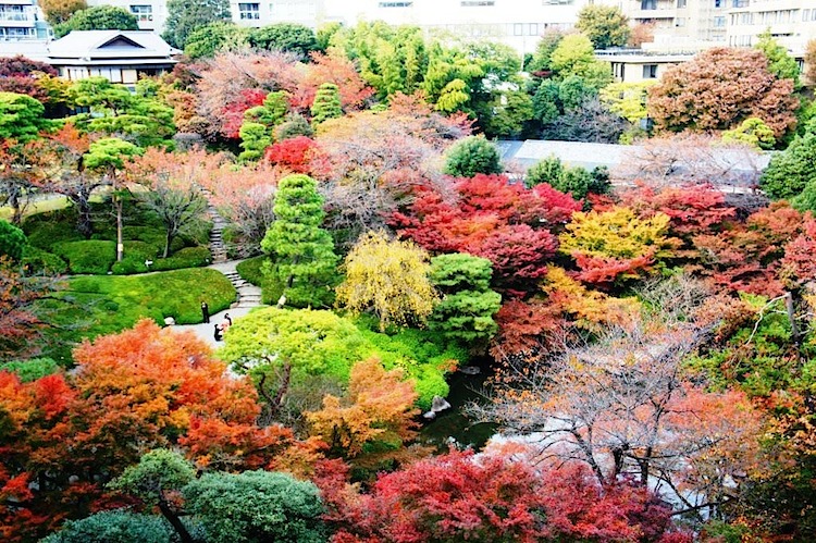 باغ هاپئن توکیو