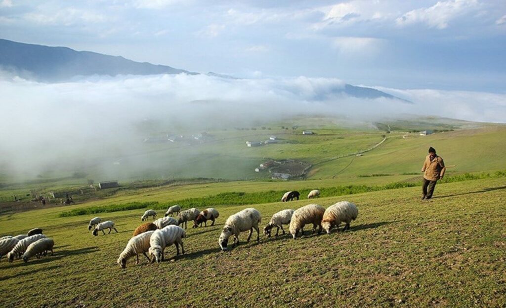 آبشار ورزان تالش