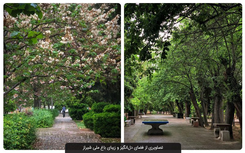 باغ ملی شیراز