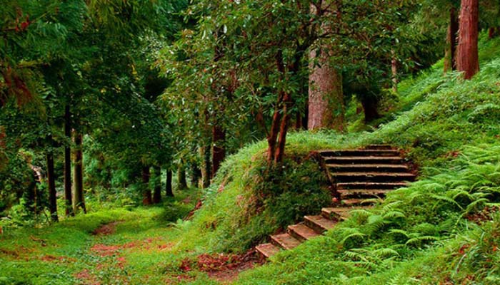 باغ ملی گیاه‌ شناسی گرجستان