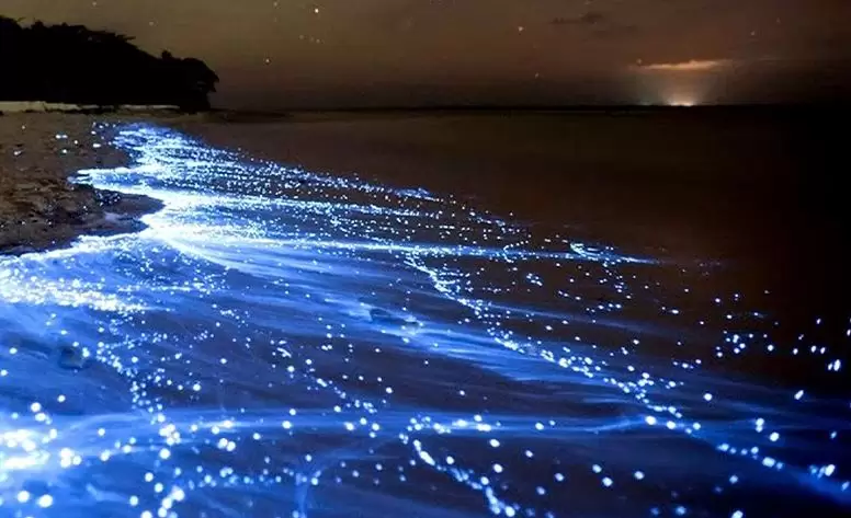 جزیره هنگام در شب