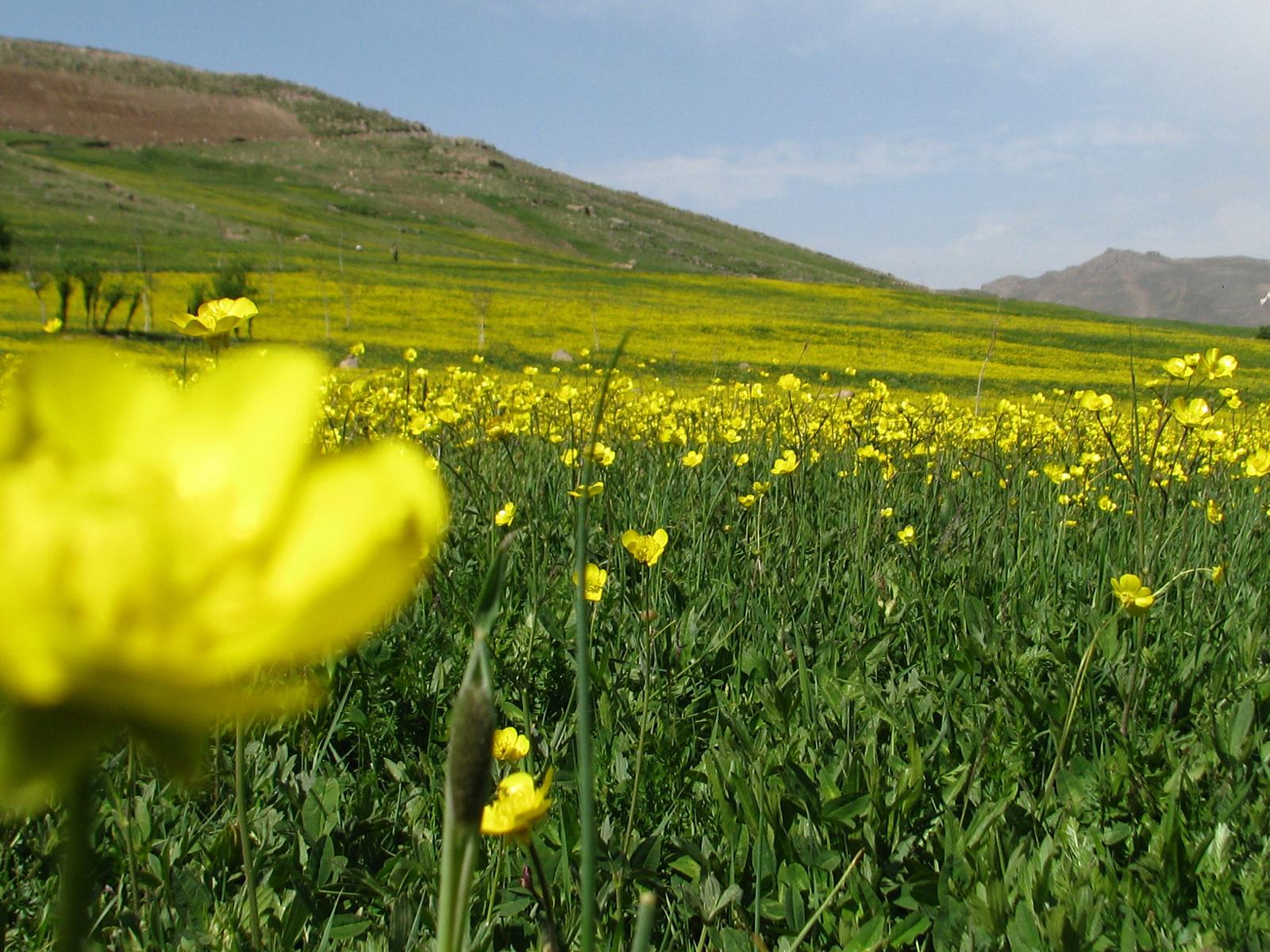 جاهای دیدنی دنا