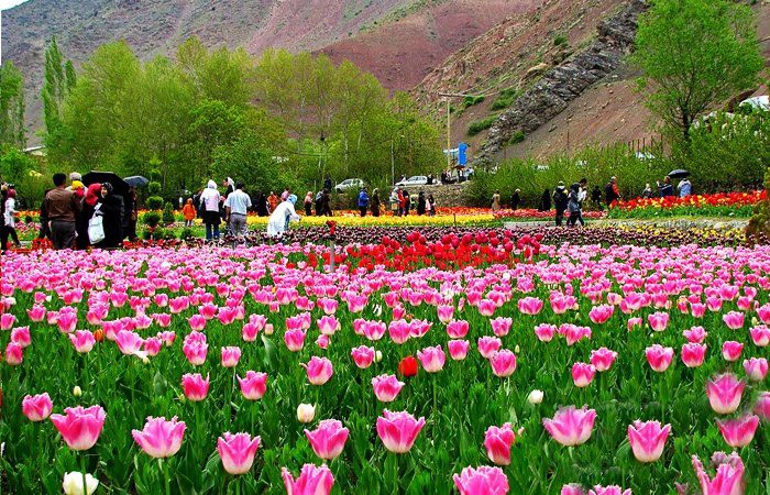 جاهای دیدنی محلات