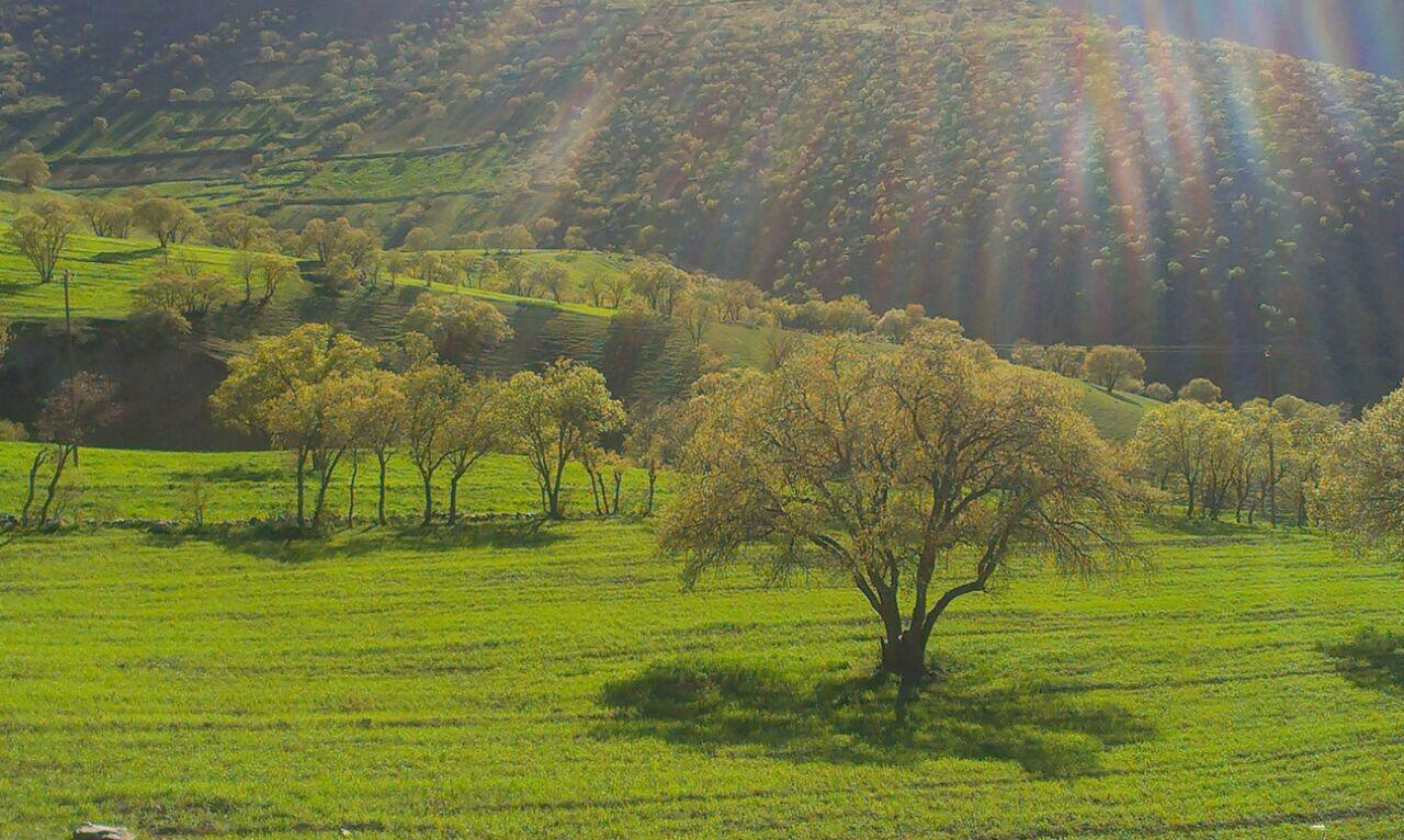 دیدنی های کامیاران