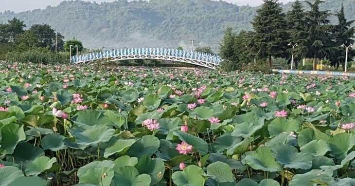 جاهای دیدنی لنگرود