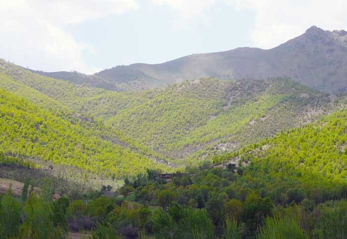 جاهای دیدنی بانه