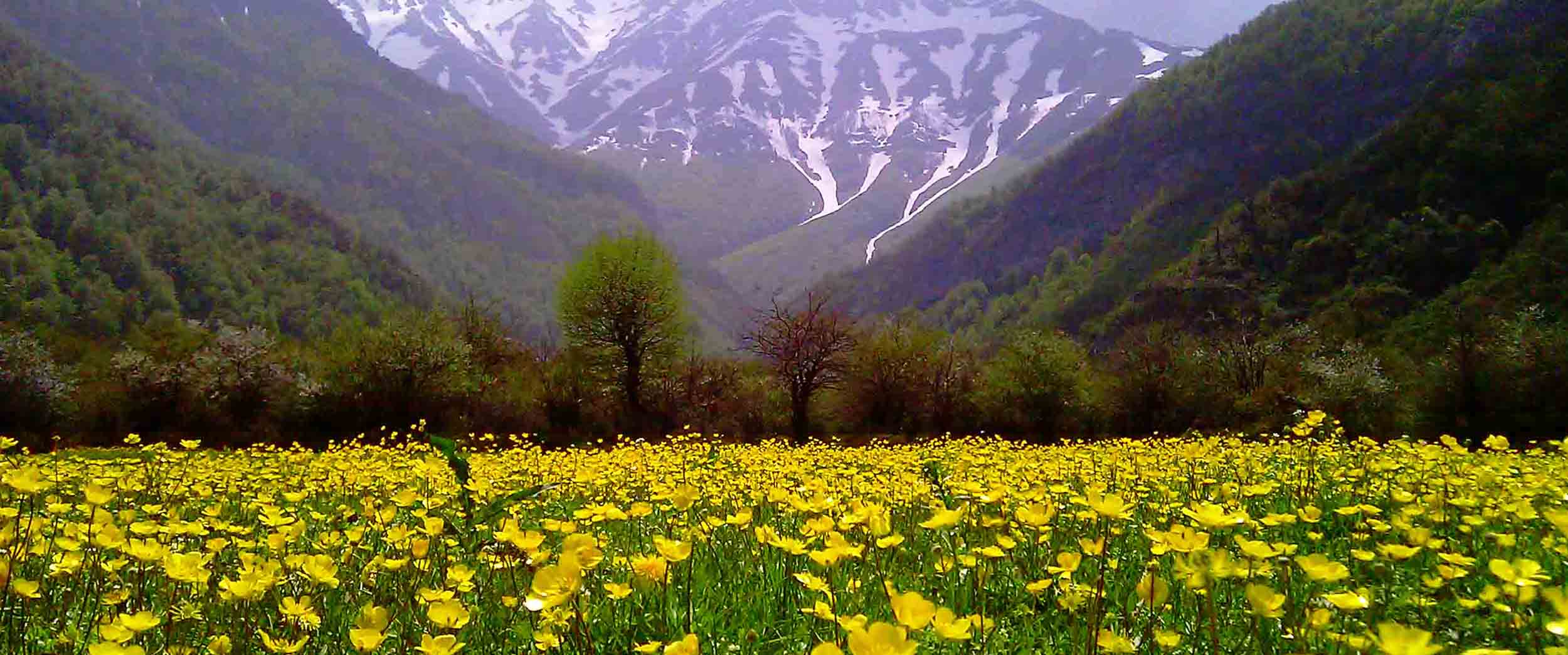 جاهای دیدنی رودسر