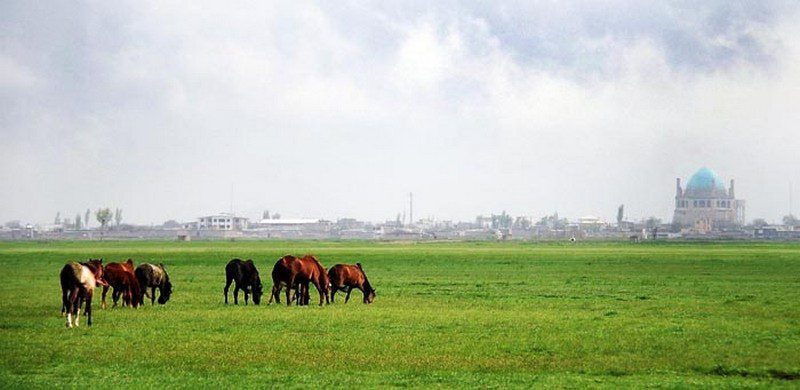 جاهای دیدنی سلطانیه