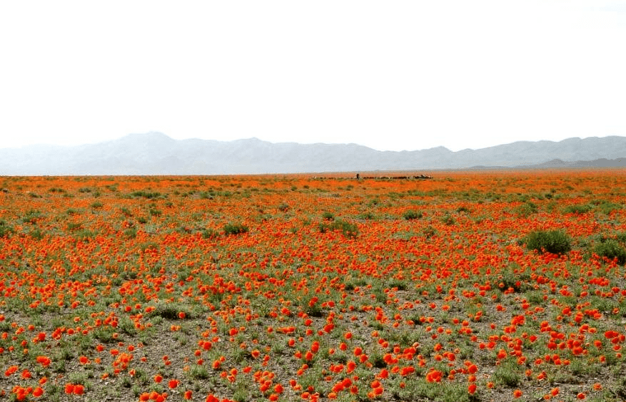 جاهای دیدنی شهریار