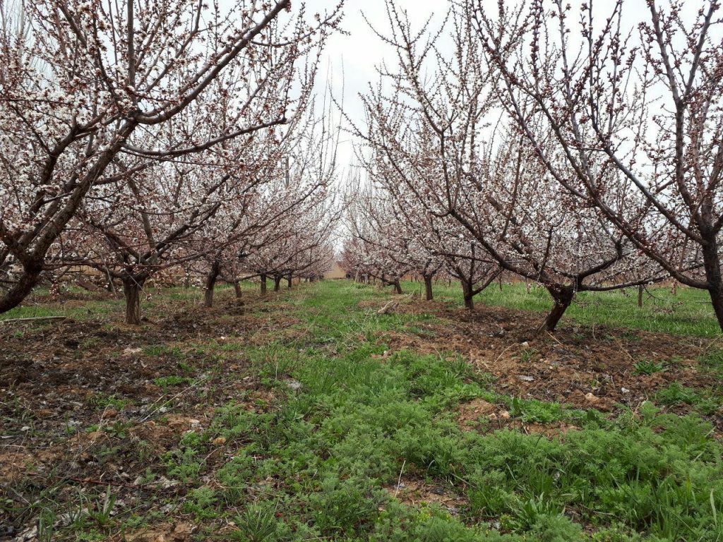 جاهای دیدنی مجن