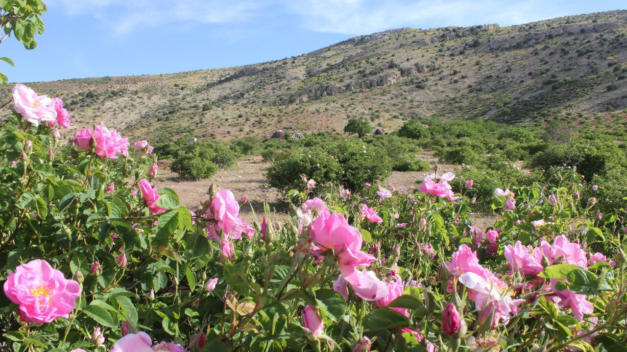 روستای لایزنگان