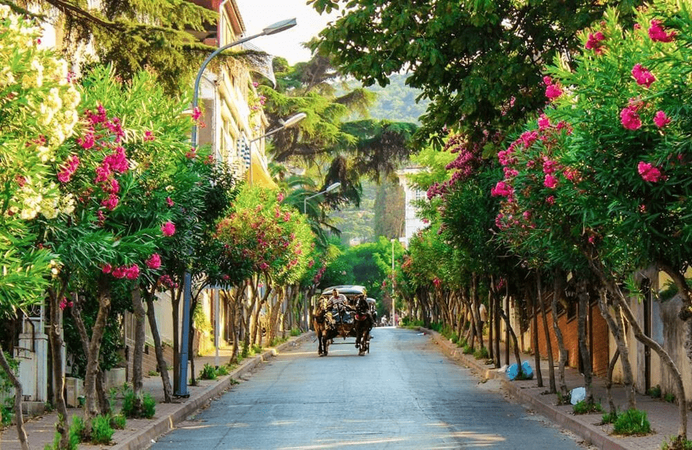 جزیره بیوک آدا