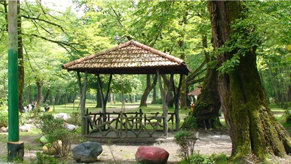 پارک جنگلی میرزا کوچک خان آمل