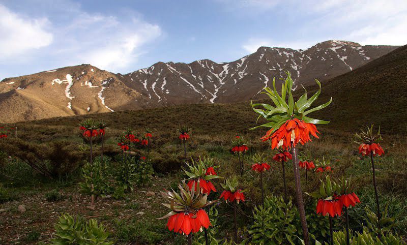 جاهای دیدنی خوانسار