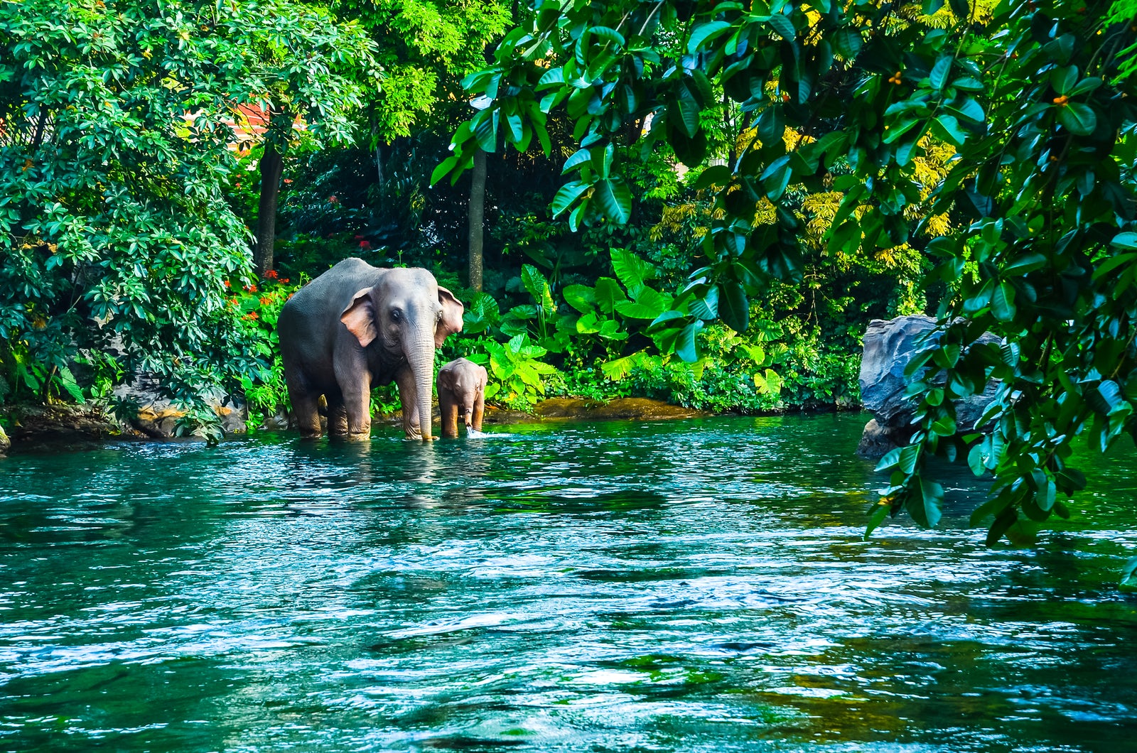 پارک ملی کاویای تایلند