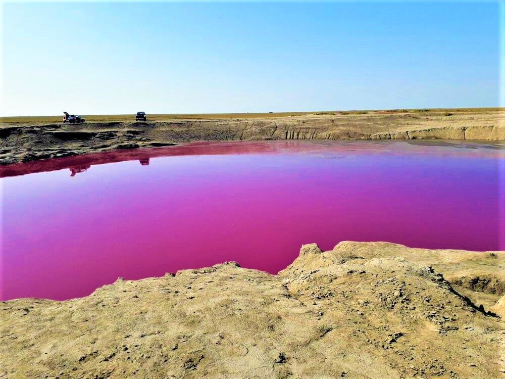 گلفشان نفتلیجه گمیشان