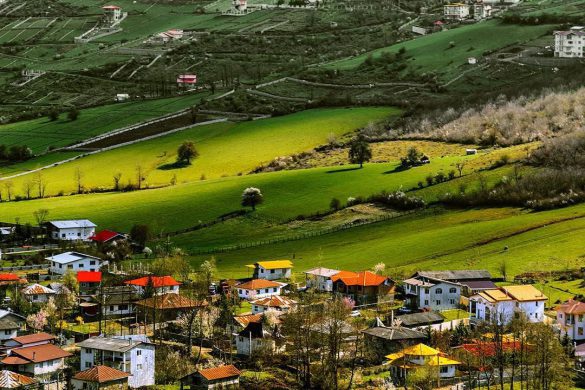 روستای کردیچال