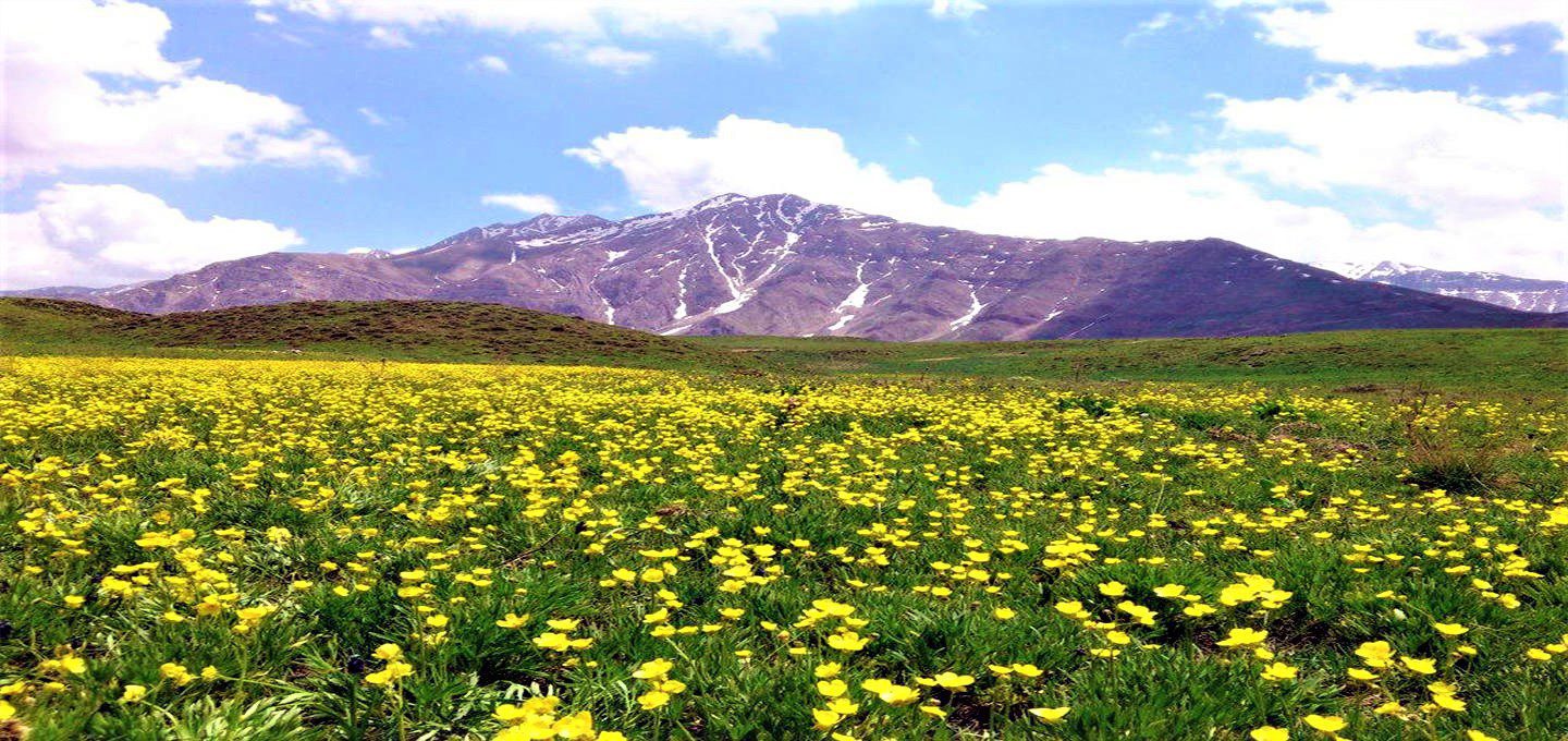 پارک ملی لار