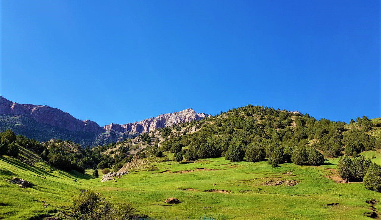 رشته کوه هزار مسجد