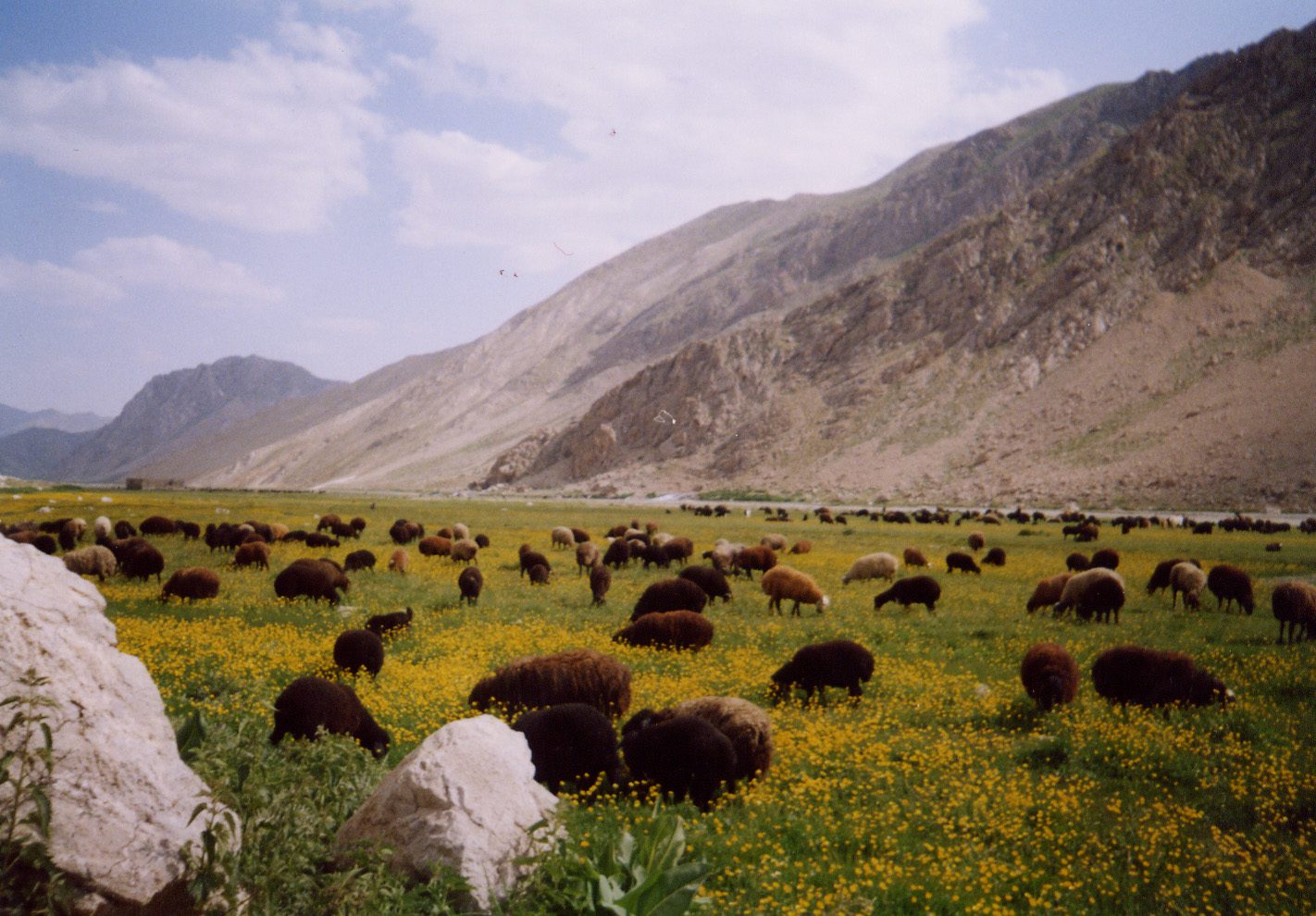 پارک ملی لار