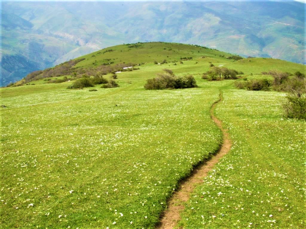روستای گلدیان رودبار