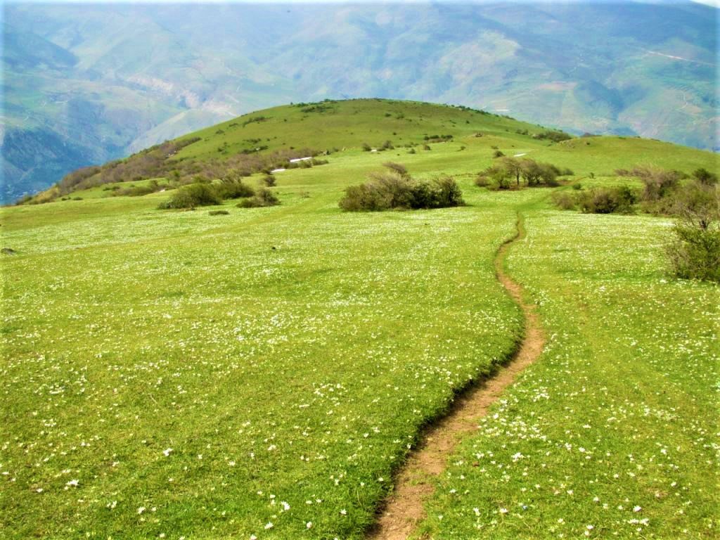 روستای گلدیان رودبار