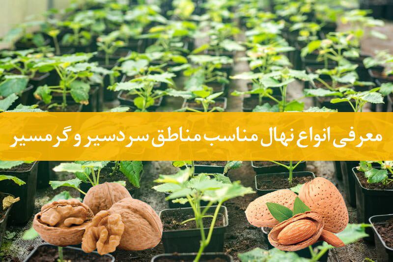 مناسب ترین نهال در مناطق سردسیر و گرمسیر در ایران: